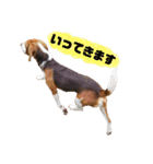 トロンさん（個別スタンプ：14）