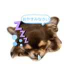 マロの気分（個別スタンプ：4）
