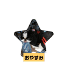 狆の日常に使えるスタンプ（個別スタンプ：2）