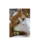 うめちゃ .4（個別スタンプ：1）