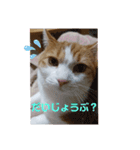 うめちゃ .4（個別スタンプ：2）