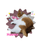 うめちゃ .4（個別スタンプ：4）