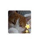うめちゃ .4（個別スタンプ：7）
