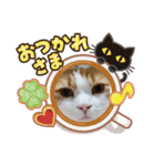 うめちゃ .4（個別スタンプ：12）