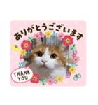 うめちゃ .4（個別スタンプ：13）