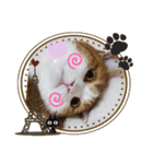 うめちゃ .4（個別スタンプ：15）