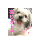 #ビビの日常（個別スタンプ：1）