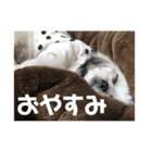 #ビビの日常（個別スタンプ：4）
