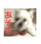 #ビビの日常（個別スタンプ：5）