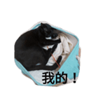 瓜子＆小瓜 2.0（個別スタンプ：7）