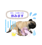 それいけ！諭吉様！（個別スタンプ：4）