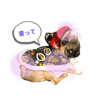 それいけ！諭吉様！（個別スタンプ：5）