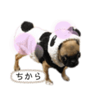 それいけ！諭吉様！（個別スタンプ：12）