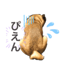 それいけ！諭吉様！（個別スタンプ：13）