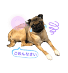 それいけ！諭吉様！（個別スタンプ：16）