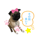 それいけ！諭吉様！（個別スタンプ：17）