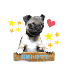それいけ！諭吉様！（個別スタンプ：19）