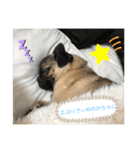 それいけ！諭吉様！（個別スタンプ：23）
