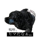 寿々（其之2）（個別スタンプ：5）