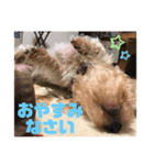 さくら:スタンプ（個別スタンプ：3）