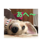 さくら:スタンプ（個別スタンプ：8）