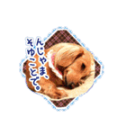 セスのバンダナコレクション（個別スタンプ：9）
