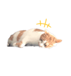 きなずんあん②（個別スタンプ：1）