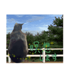 黒猫、名は黒蜜3（個別スタンプ：4）