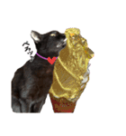 黒猫、名は黒蜜3（個別スタンプ：5）
