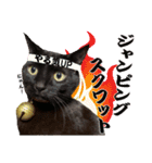 黒猫、名は黒蜜3（個別スタンプ：6）