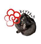 黒猫、名は黒蜜3（個別スタンプ：10）