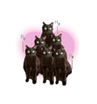 黒猫、名は黒蜜3（個別スタンプ：11）