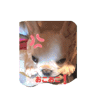 UMECHIYOのすべて（個別スタンプ：4）