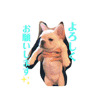 UMECHIYOのすべて（個別スタンプ：5）