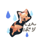 UMECHIYOのすべて（個別スタンプ：16）