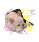 UMECHIYOのすべて（個別スタンプ：17）