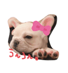 UMECHIYOのすべて（個別スタンプ：21）