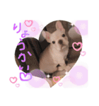 UMECHIYOのすべて（個別スタンプ：29）