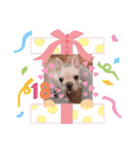 UMECHIYOのすべて（個別スタンプ：36）