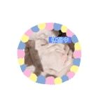 UMECHIYOのすべて（個別スタンプ：40）