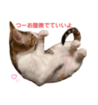 つーと子猫（個別スタンプ：7）