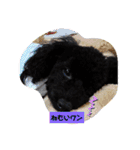 トイプーがっくんの日常（個別スタンプ：13）