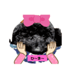 トイプーがっくんの日常（個別スタンプ：15）