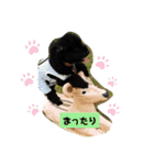 トイプーがっくんの日常（個別スタンプ：22）