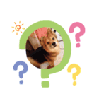 ドリームのスタンプ（個別スタンプ：3）