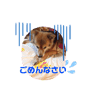 ドリームのスタンプ（個別スタンプ：8）