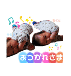 四男坊、五男坊の双子ちゃん（個別スタンプ：4）