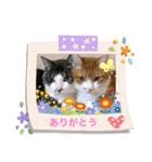 猫＆ワンコ2（個別スタンプ：1）