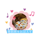 ポメラニアン なっちゃん の春 ver.1（個別スタンプ：4）