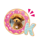ティーカッププードルのミリちゃん！（個別スタンプ：1）